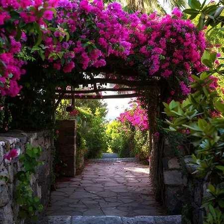 In Zakynthos, Greece Villa